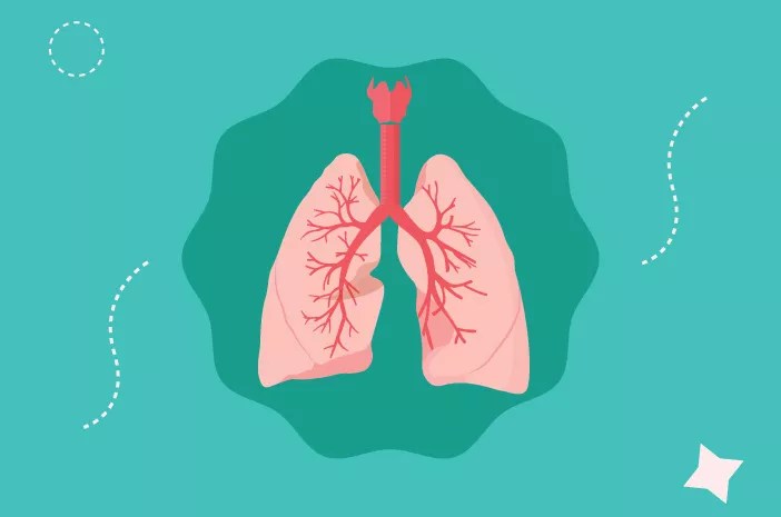 Menjaga Kesehatan Paru Paru agar Pernapasan Tetap Optimal Setiap&nbsp;Hari
